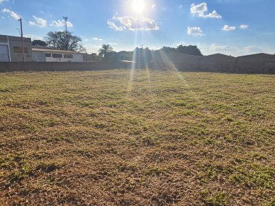 Oportunidade Terreno Av. Presidente Vargas - Área 3 em Araraquara